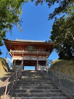 IMG_4279