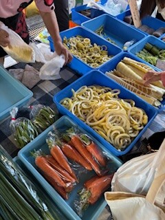 IMG_3372