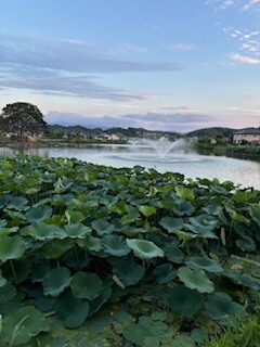 IMG_1433