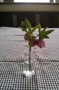 rose