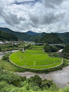 IMG_3490