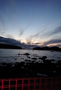 DSC_6480