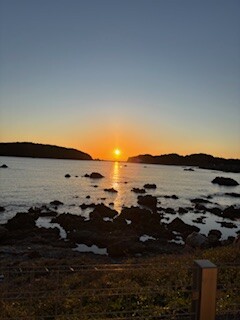 IMG_4296