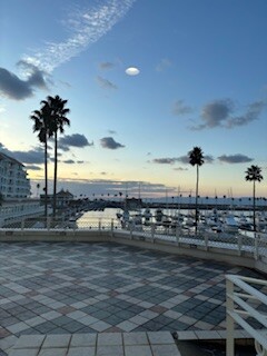 IMG_2451
