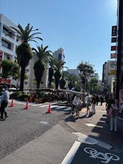 IMG_3375