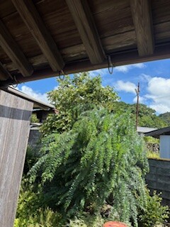 IMG_3507