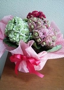 DSC_0053