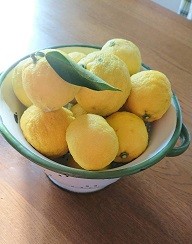 yuzu