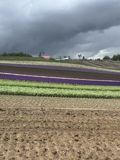 IMG_5862