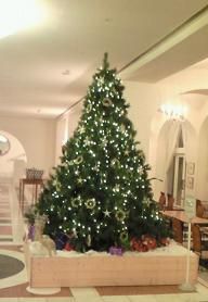tree