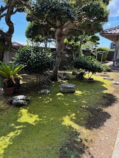 IMG_3477