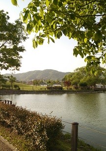 DSC_2008