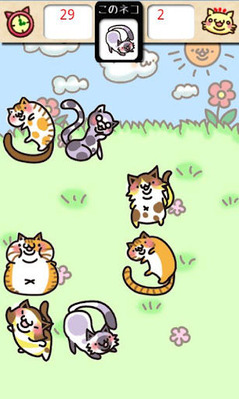 neko