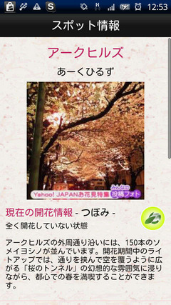 さようさい