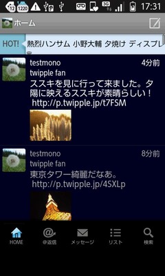 ついっぷる