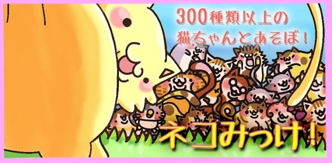 ねこみっけ