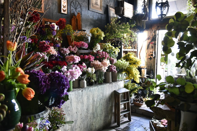 ラナンキュラス ハーマイオニー Apprivoiser Blog