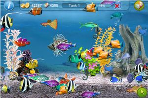美しい熱帯魚を育てよう 女性向けのiphoneアプリを紹介する Appwoman 美しい熱帯魚を育てよう 女性向けのiphoneアプリを紹介する Appwoman