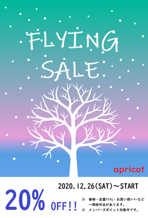 WINTER FLYINGSALE