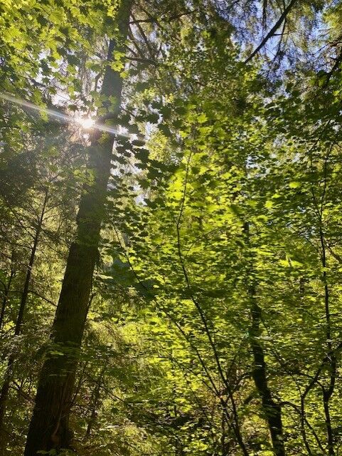 2157ab8f-0fe1-451d-9f26-2854fe2261c4