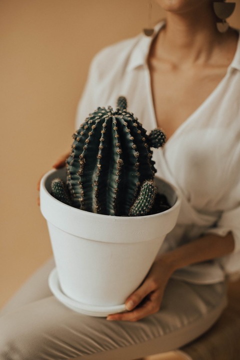 pexels-photo-3094223