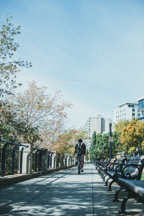 pexels-photo-9651400