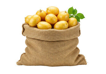 240_F_1371024527_6dQqCbW5mmSYPjTdg0RdLG4ALivvqC5J