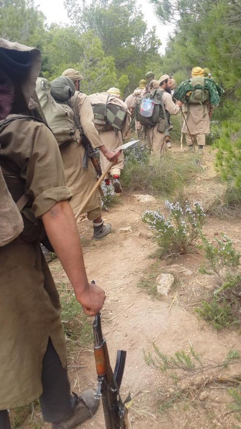 ウクバ・イブン・ナーフィア部隊