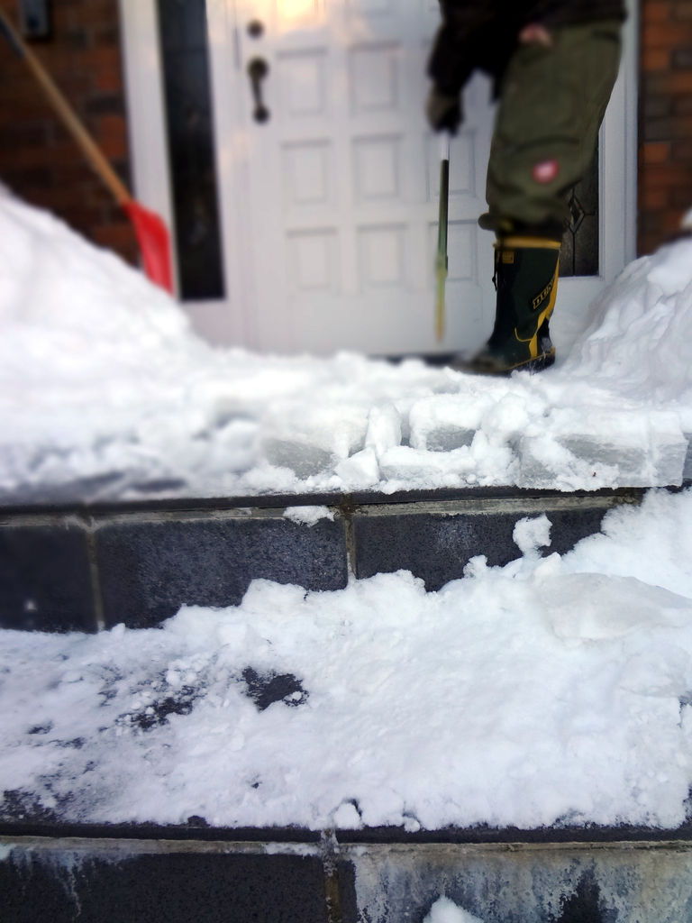 ホーマックで買える らく楽 カンタン氷割り ハンドボーはイイ Ako S Voice