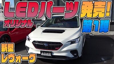 levorgLEDⅠthumbnail