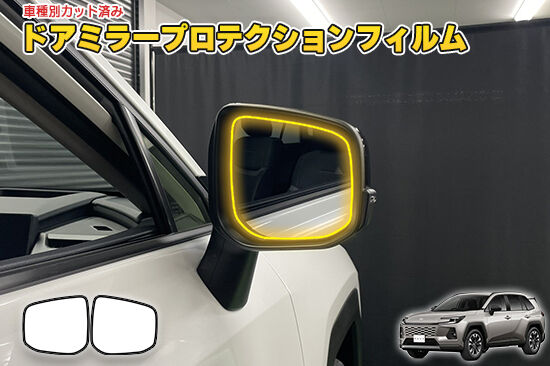 RAV4_60_DoorMirorProtection