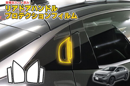 LEAF_ZE2_RDoorHandleProtection