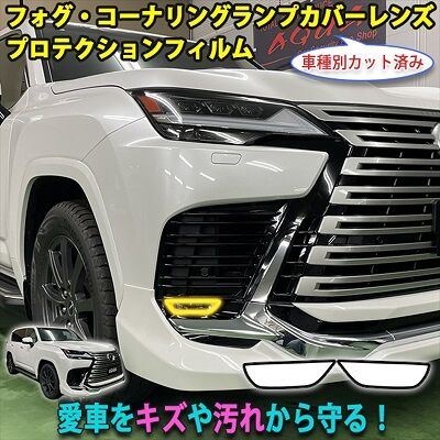 LX600_FogCLProtection_800