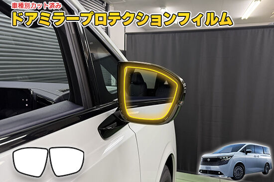 ELGRAND_E53_DoorMirorProtection