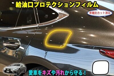 LS500_FuelProtection_800