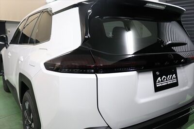 テールフィルム【ミドルスモーク】 (4)_800