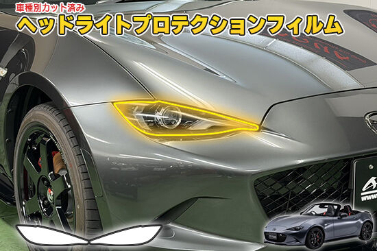 NDE_HeadlightProtection