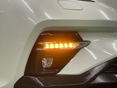 Levorgvn_sequential2