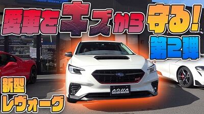 levorgPTFⅡthumbnail