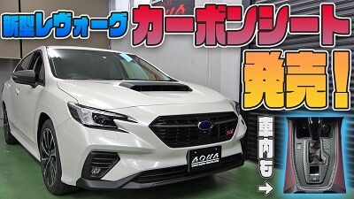 revorgcarbonthumbnail 400