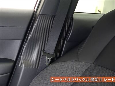 zvg_carbon_interior3_400