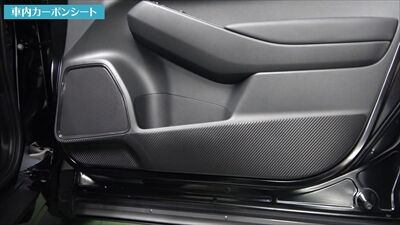 vezel_carbon_interior1_400