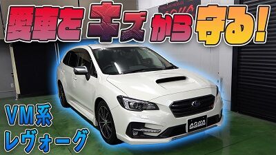 levorgvmPTFthumbnail