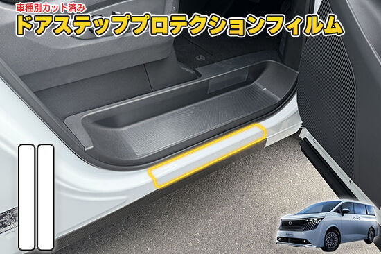 ELGRAND_E53_DoorStepProtection