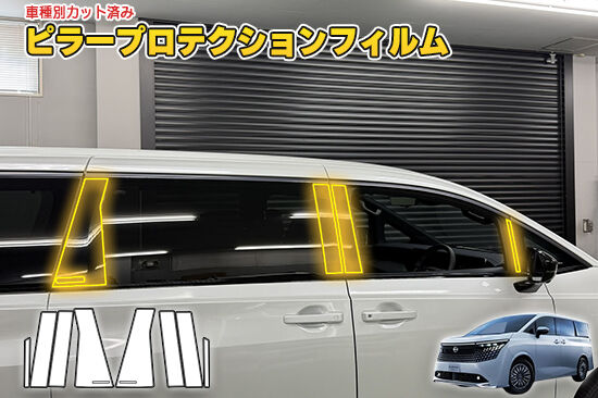 ELGRAND_E53_PillarProtection