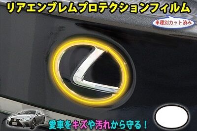 LS500_REmblemProtection_800