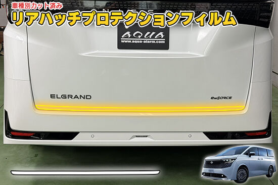ELGRAND_E53_RHatchProtection