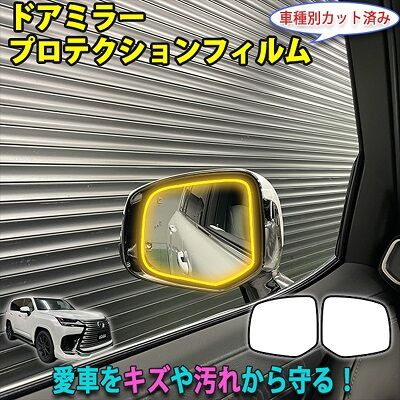 LX600_DoorMirorProtection_800
