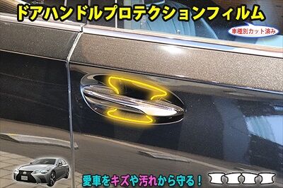 LS500_DoorHandleProtection_800