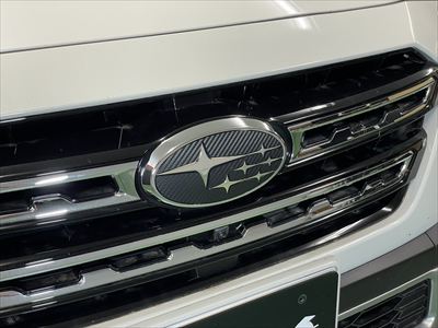 Fエンブレムカーボン加工1色ブラックカーボン (6)400